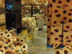 -成都梵高星空艺术馆(春熙路旗舰店)