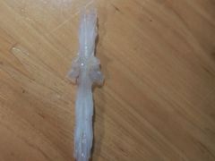 -老字号怡玺·藿香雅鱼(20年雅安店)