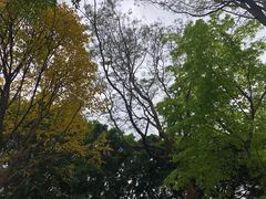 -九龙茶记·粤式餐厅融合菜(鹭江店)