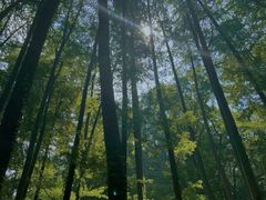 -波尔登森林公园