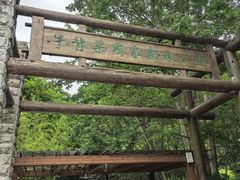 -牛背梁国家森林公园
