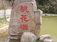 -神光山国家森林公园