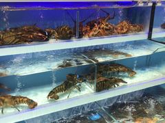 -盒马鲜生(顺义店)