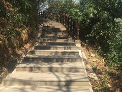 -羚羊峡古栈道森林公园