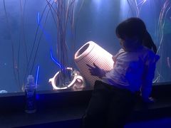 -海合安武汉极地海洋公园