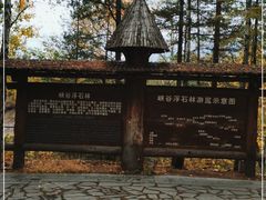 -峡谷浮石林景区