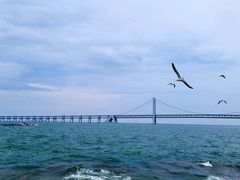 -星海广场