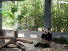 -海南热带野生动植物园