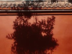 -洛阳周公庙博物馆