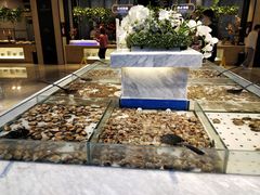 -川骄海鲜自助(河东店)
