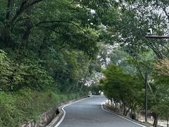 -南京市江宁方山