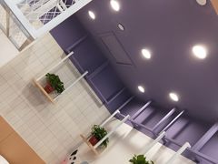 -一只酸奶牛(丹尼斯大卫城店)