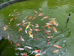 -西安阳光国际大酒店(西安火车站五路口地铁站店)