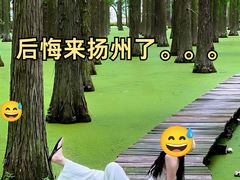 -打酱油·非遗淮扬菜(瘦西湖梅岭老店)
