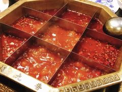 -蜀九香火锅(彩虹店)