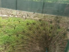 -董寨国家级自然保护区白云保护站