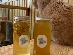 -Catmate·猫肥家润(金润铂宫店)