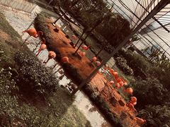 -无锡动物园·太湖欢乐园