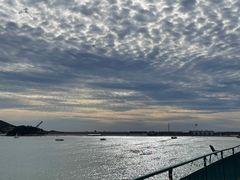 -望湖烤鱼