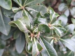 -苏州河梦清园环保主题公园