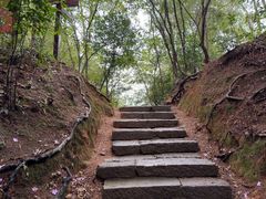 -武夷山风景名胜区-虎啸岩