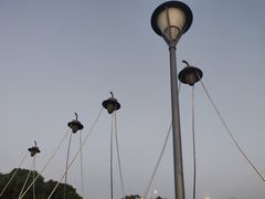 -上海月湖雕塑公园