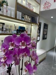 -MIDA蜜哒•科技逆龄美肤连锁