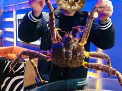 -蟹之国·精品蟹料理(极地店)