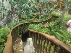 -正佳雨林生态植物园