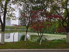 -艾溪湖湿地公园