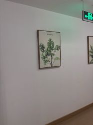 -薇薇安花系SPA