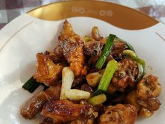 -陶缘一号·四季缘·老字号顺德菜·户外婚礼家宴(西滘店)