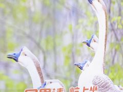 -锅老头海鲜铁锅炖