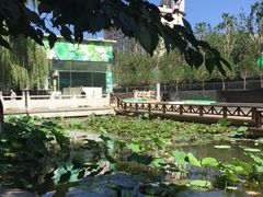 -莲湖公园