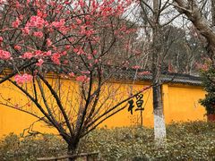 -超山青莲寺