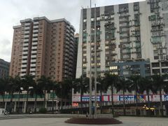 -金莲花广场