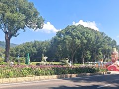 -东南花都花博园