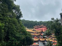 -东莞市大岭山森林公园