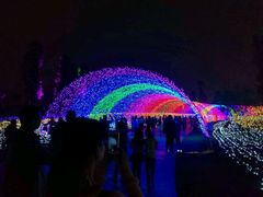 -秀丽东方