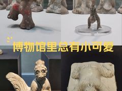 -安阳博物馆