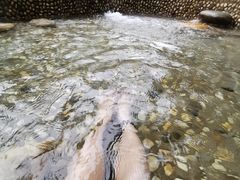 -罗浮山嘉宝田森林温泉度假酒店