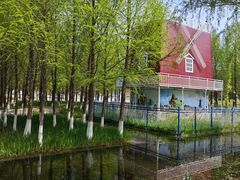 -泰州凤城河风景区-泰山公园