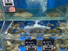 -小船渔村•大连菜•大连焖鱼(明泽街店)