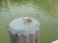 iphone_upload_pic-中国计量大学(西校区)