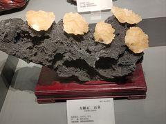 -湖南省地质博物馆