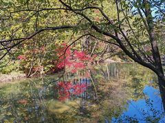 -本溪老边沟风景区