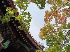 -香山公园
