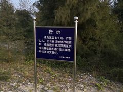 -东郊椰林