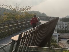 -福道