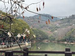 -白马涧龙池景区